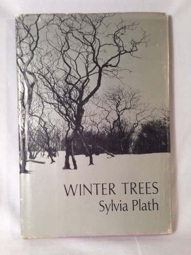 Cover of Winter Trees