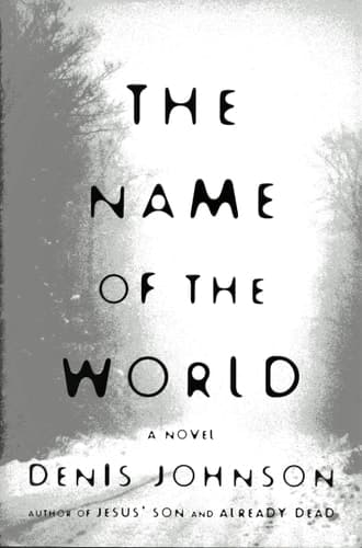 Cover of The Name of the World A Novel