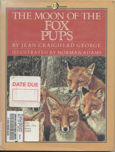 Cover of The Moon of the Fox Pups
