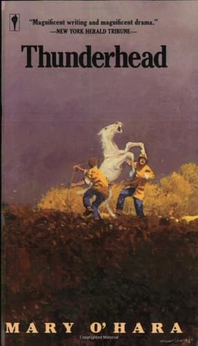 Cover of Thunderhead