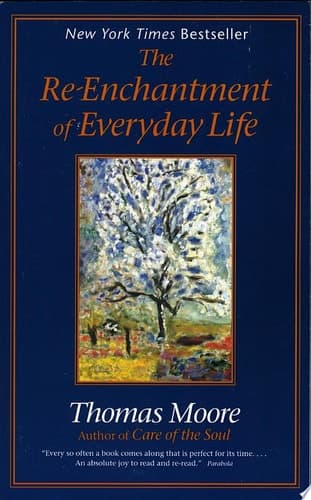 Cover of The Re-enchantment of Everyday Life