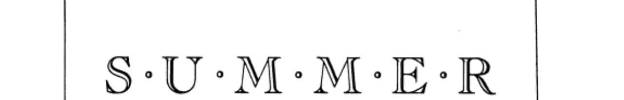 Cover of Summer Light