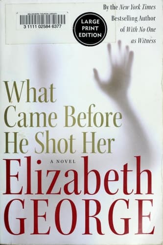 Cover of What Came Before He Shot Her LP