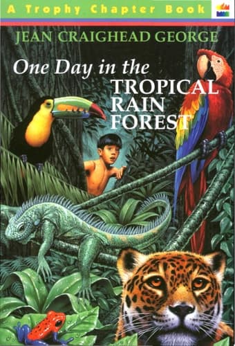 Cover of One Day in the Tropical Rain Forest