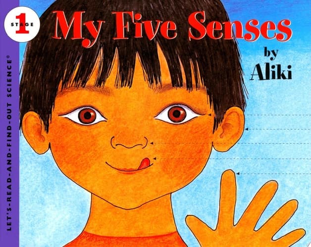 Cover of My Five Senses