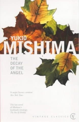 Cover of The Decay of the Angel