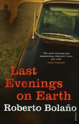 Cover of Last Evenings on Earth