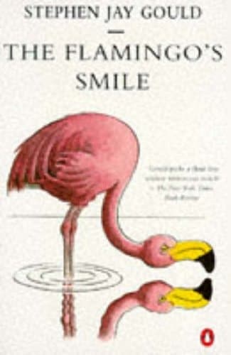 Cover of The Flamingo's Smile