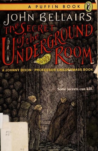 Cover of The Secret of the Underground Room