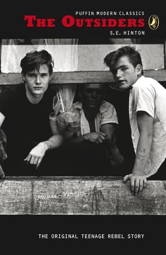 Cover of The Outsiders