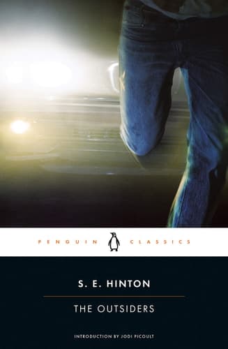 Cover of The Outsiders