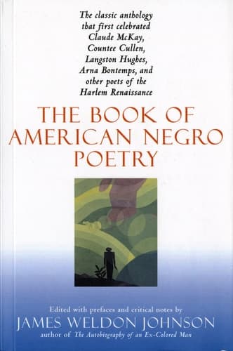 Cover of The Book of American Negro Poetry