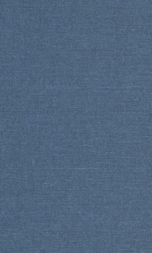 Cover of Southern Families at War Loyalty and Conflict in the Civil War South