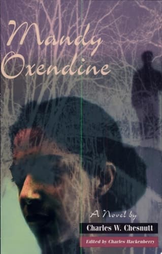 Cover of Mandy Oxendine A Novel