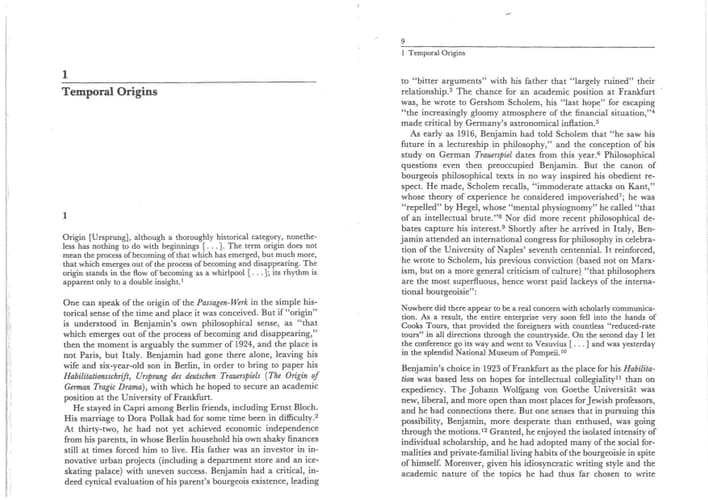 Cover of The Dialectics of Seeing: Walter Benjamin and the Arcades Project (Studies in Contemporary German Social Thought)