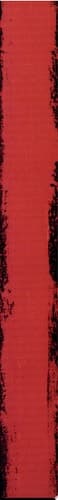 Cover of Barnett Newman