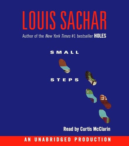 Cover of Small Steps (Holes Series)