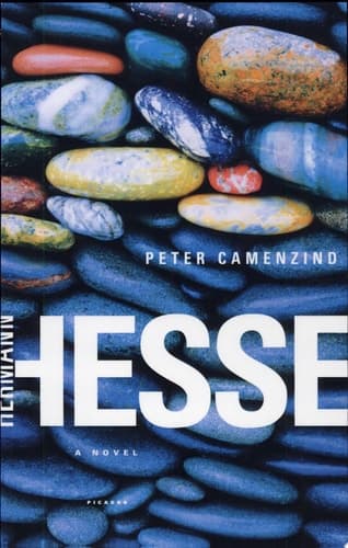 Cover of Peter Camenzind A Novel