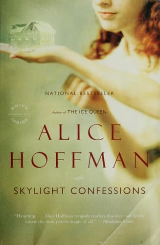 Cover of Skylight Confessions