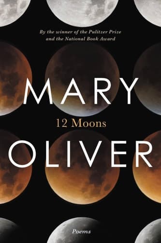 Cover of Twelve Moons