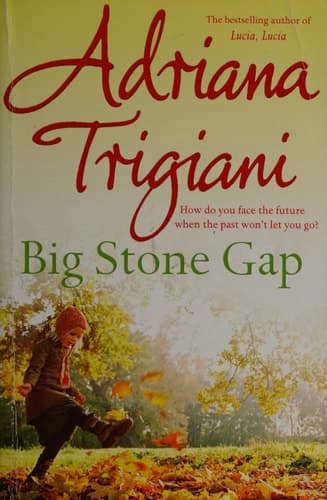 Cover of Big Stone Gap
