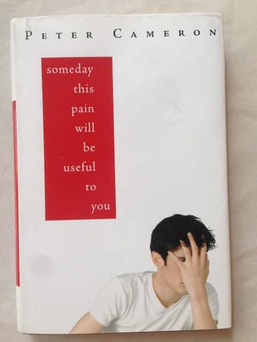 Cover of Someday This Pain Will Be Useful to You A Novel