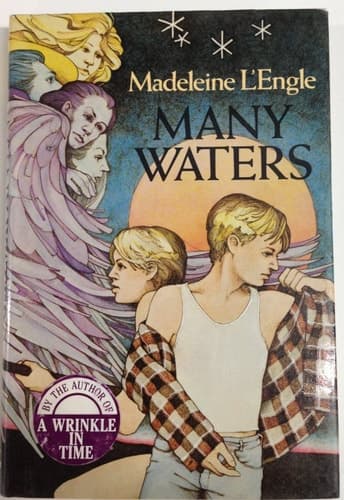 Cover of Many Waters