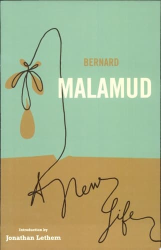 Cover of A New Life A Novel