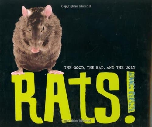Cover of Rats! The Good, the Bad, and the Ugly