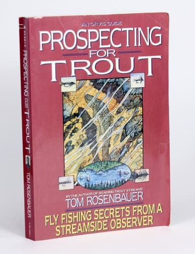 Cover of Prospecting for Trout Fly Fishing Secrets from a Streamside Observer