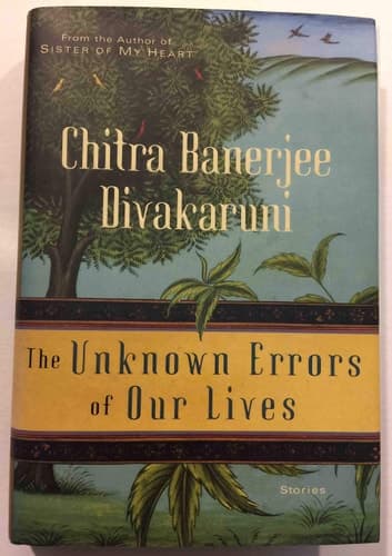 Cover of The Unknown Errors of Our Lives Stories