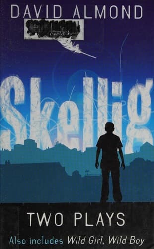 Cover of Two Plays: Skellig, Wild Girl, Wild Boy