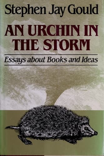Cover of An Urchin in the Storm Essays about Books and Ideas