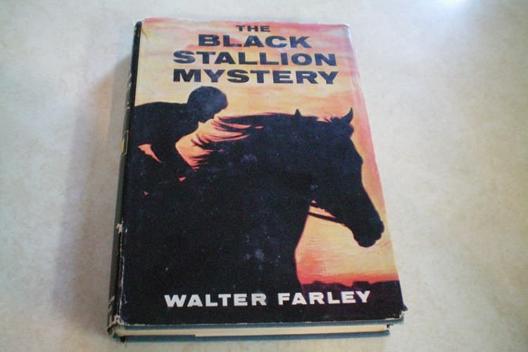 Cover of The Black Stallion Mystery (The Black Stallion Stories, 13)