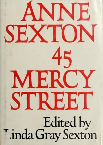 Cover of 45 Mercy Street