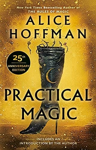 Cover of Practical Magic