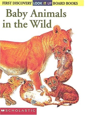 Cover of Baby Animals in the Wild
