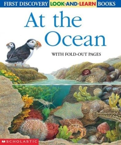 Cover of At the Ocean