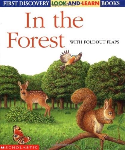 Cover of In the Forest