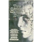 Cover of The Stone Boy