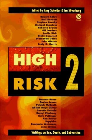 Cover of High Risk 2: Writings on Sex, Death, and Subversion