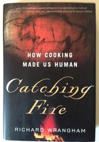 Cover of Catching Fire How Cooking Made Us Human