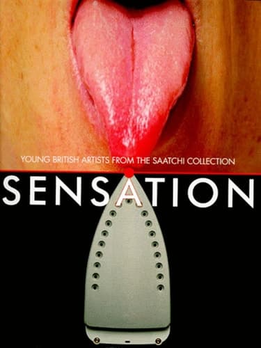 Cover of Sensation: Young British Artists from the Saatchi Collection