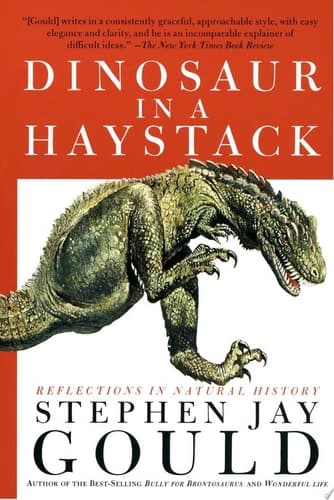 Cover of Dinosaur in a Haystack Reflections in Natural History