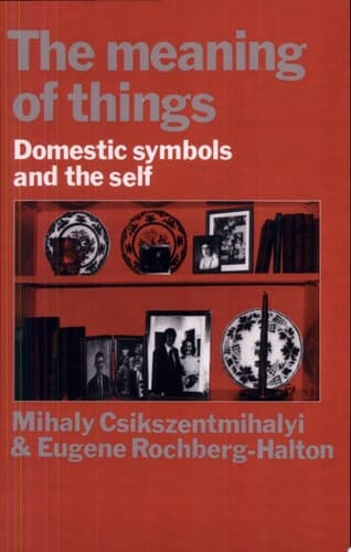 Cover of The Meaning of Things Domestic Symbols and the Self