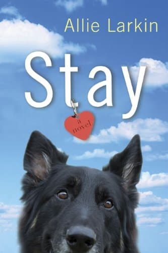 Cover of Stay