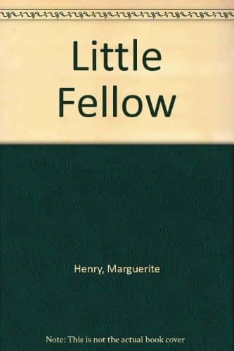 Cover of The Little Fellow