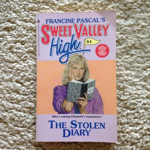 Cover of The Stolen Diary