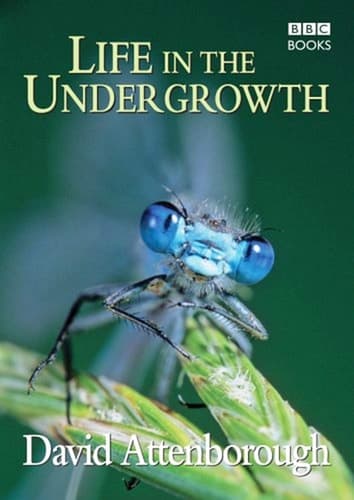 Cover of Life in the Undergrowth