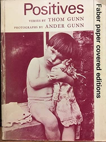 Cover of Positives: Verses (Faber paper covered editions)